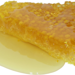 honey, honeycomb, sweet