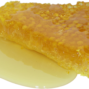 honey, honeycomb, sweet